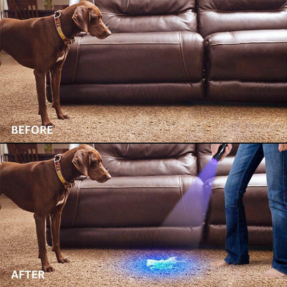 Lepro LE UV Torch, 9 LED 395nm Ultraviolet Flashlight, Blacklight Detector for Pet Urine, Stain, Bed Bugs and More, 3 AAA Batteries Included