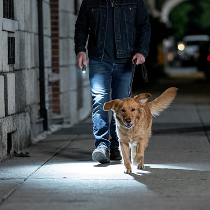 Lepro Small Torches Battery Powerd, 2 Pack EDC Torch with Aluminum Body, IPX4 Waterproof Perfect for Camping, Emergency, Dog Walking, Daily Carry and Outdoor Hiking (Batteries Included)