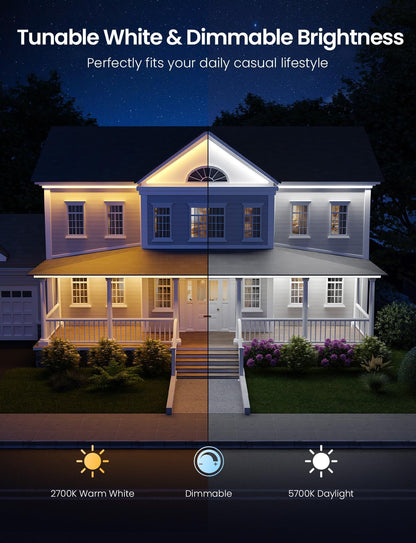 Lepro SW1 AI Smart Outdoor Lights 5M RGBW+IC, IP65 Waterproof LED Strip, Warm to Cool White, DIY Colour, Work with Alexa & Google Assistant, Music Sync, Timer, App & Voice Control