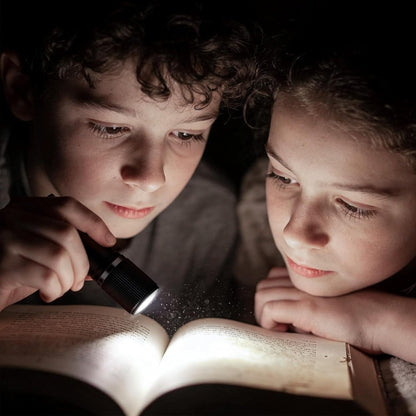 Lepro Small Torches Battery Powerd, 2 Pack EDC Torch with Aluminum Body, IPX4 Waterproof Perfect for Camping, Emergency, Dog Walking, Daily Carry and Outdoor Hiking (Batteries Included)