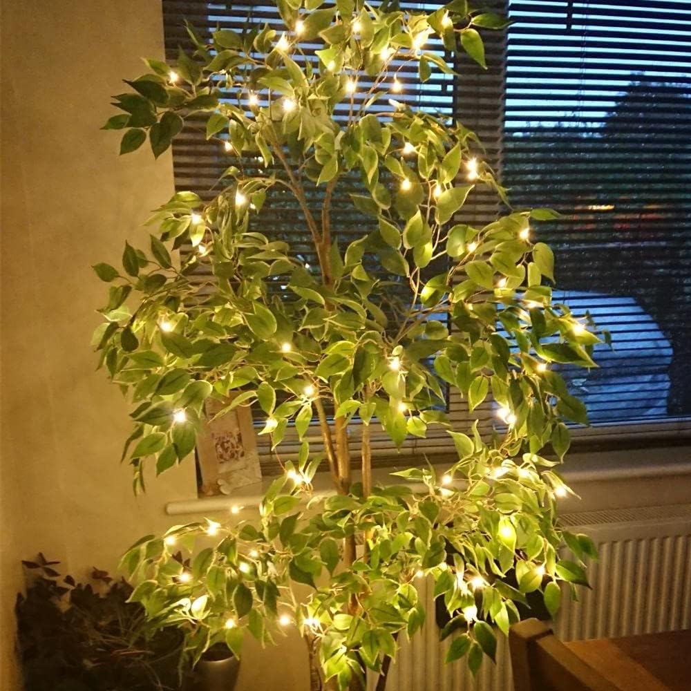 Lepro Fairy Lights Plug in, 20m 200 LED Copper Wire Fairy Lights, 66ft Warm White Fairy String Lights Mains Powered for Indoor Outdoor, Bedroom, Wedding Decor, Garden, Party, Christmas and More