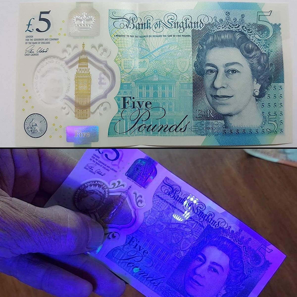 Lepro LE UV Torch, 9 LED 395nm Ultraviolet Flashlight, Blacklight Detector for Pet Urine, Stain, Bed Bugs and More, 3 AAA Batteries Included